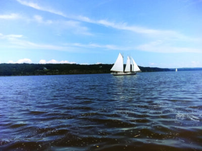 Northeast Grain Race and News Image